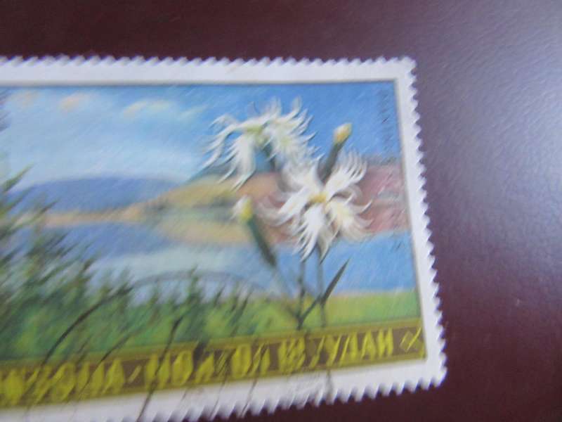 MONGOLIA -6