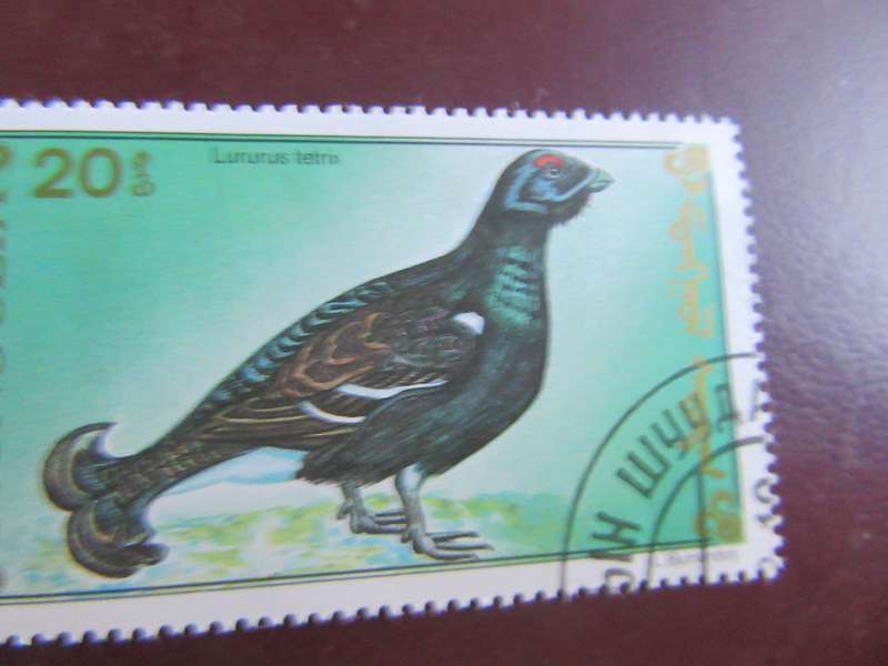 MONGOLIA -6
