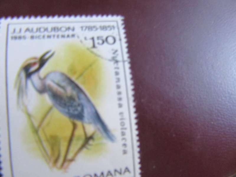 ROMANIA -6