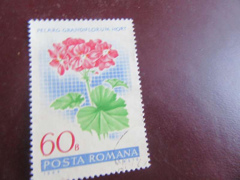 ROMANIA -6