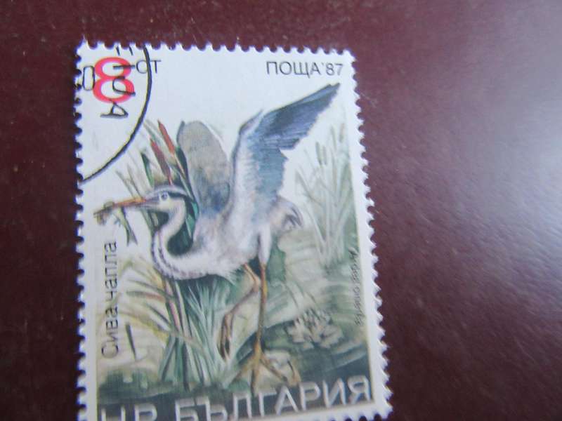 RUSSIA -6