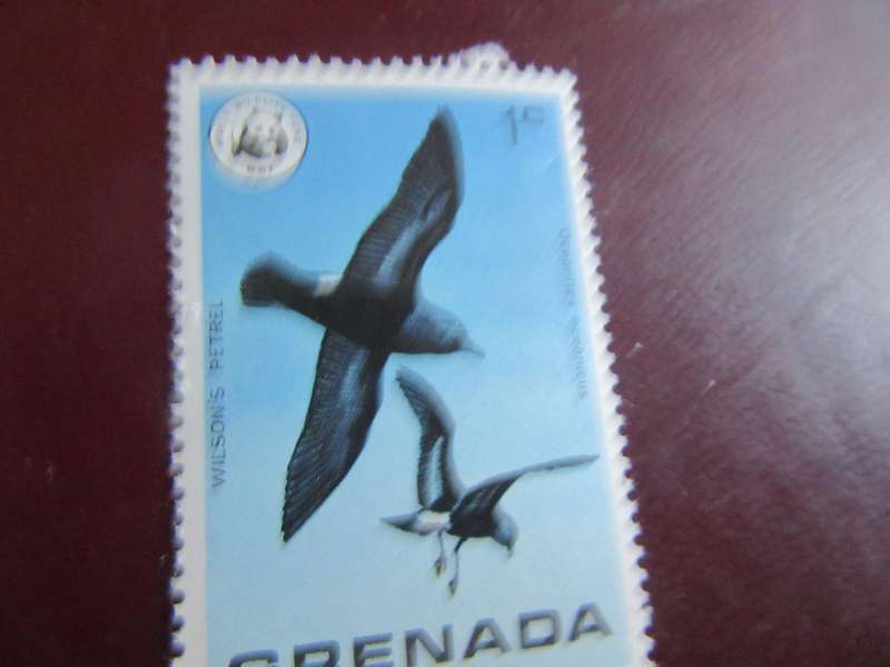 GRENADA -7