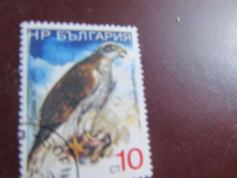 RUSSIA -7