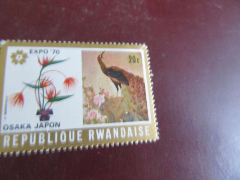RUANDA -7