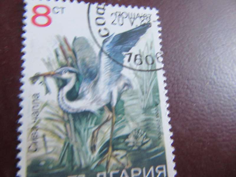 RUSSIA -7