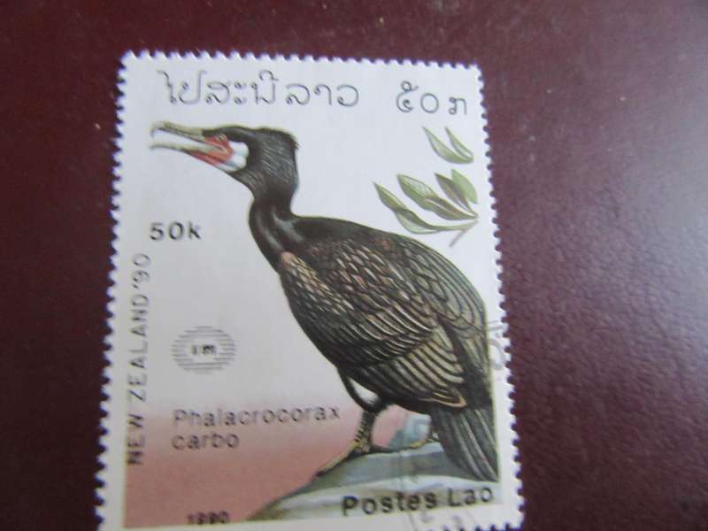 LAOS-7