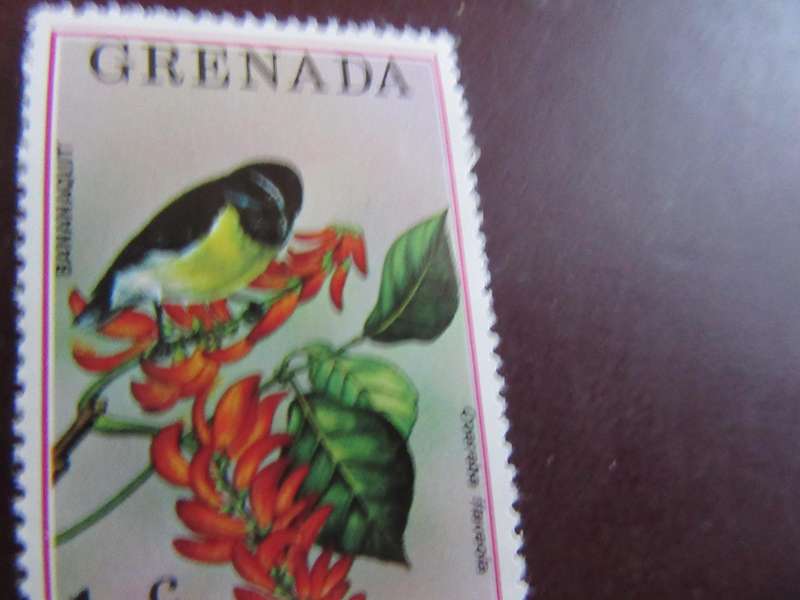 GRENADA -7