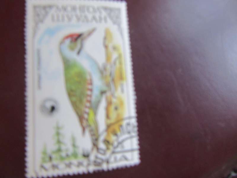 MONGOLIA-8