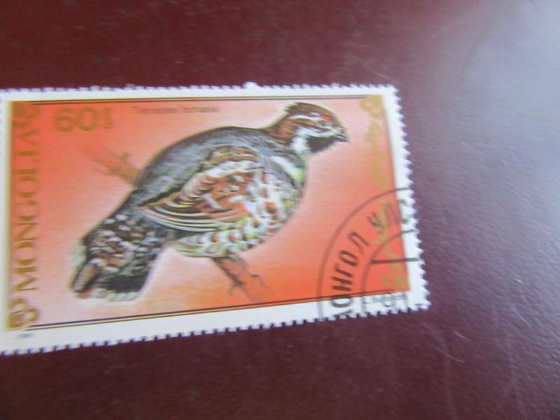 MONGOLIA-8