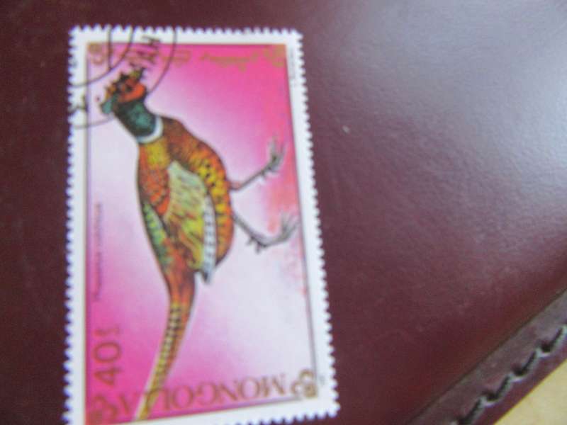 MONGOLIA-8