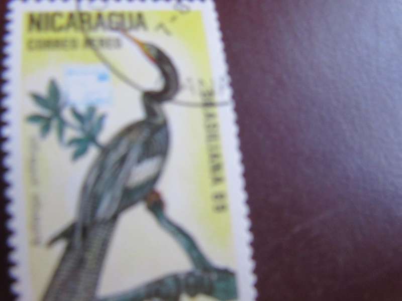 NICARAGUA -8