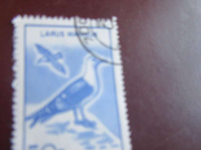 NICARAGUA -8