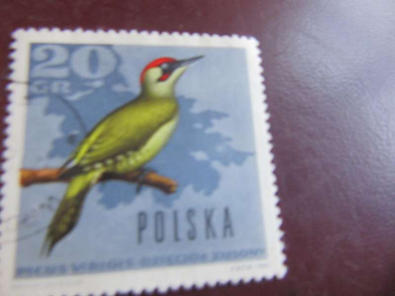 POLAND -1
