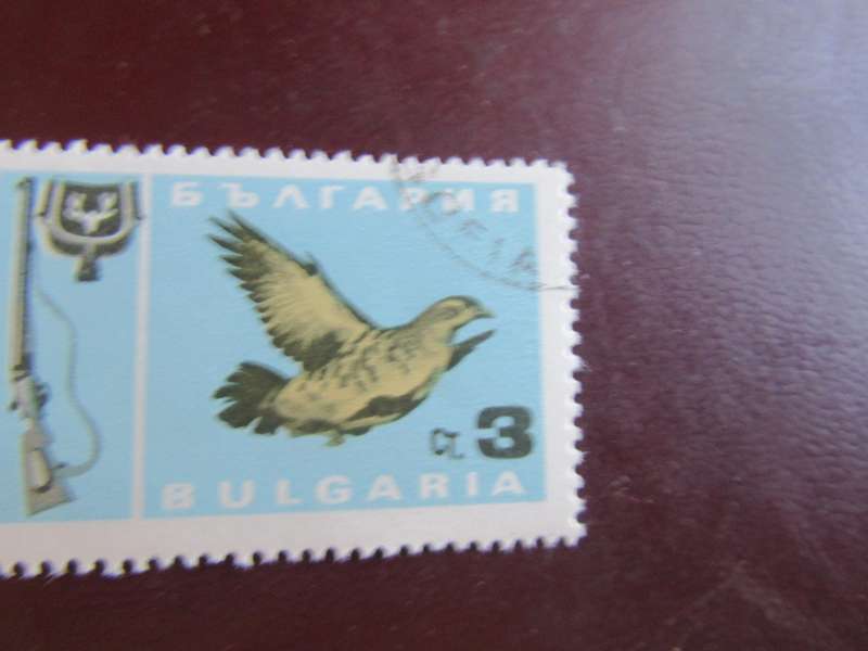 BULGARIA -1