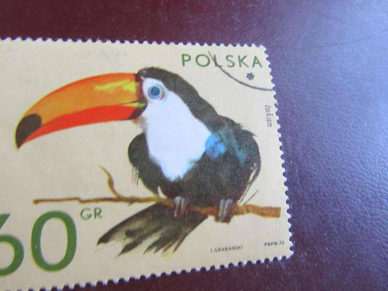 POLAND -1