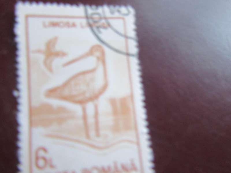 ROMANIA -1