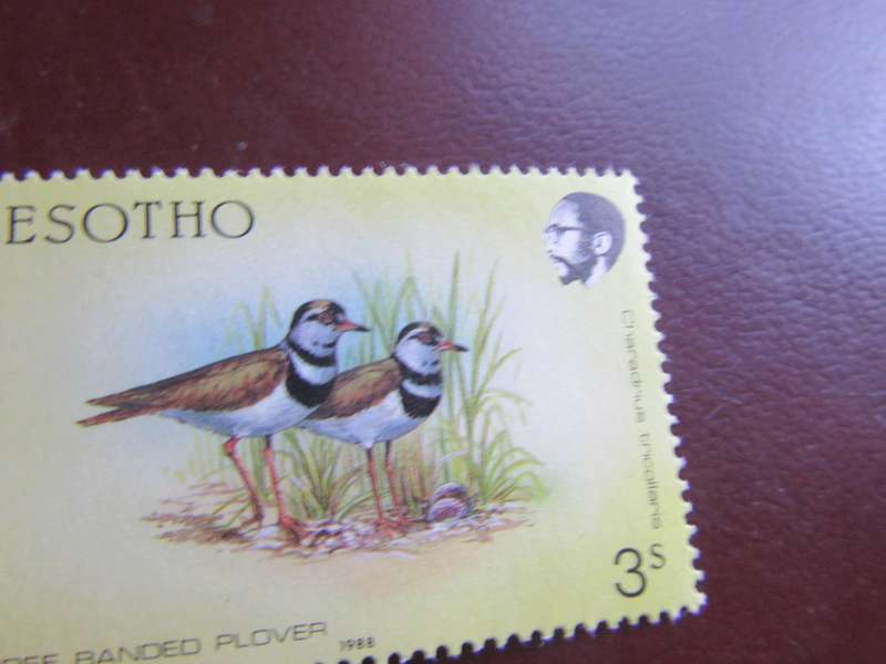 LESOTHO -1