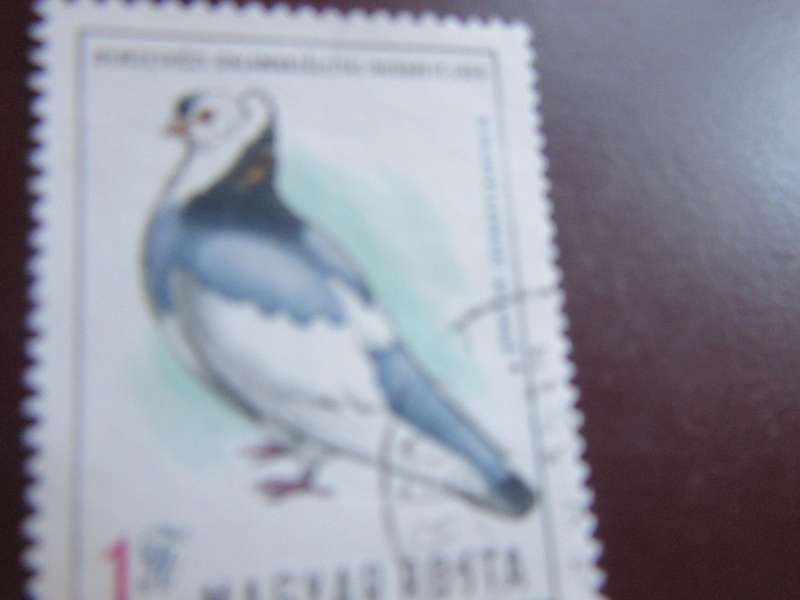 HUNGARY -1