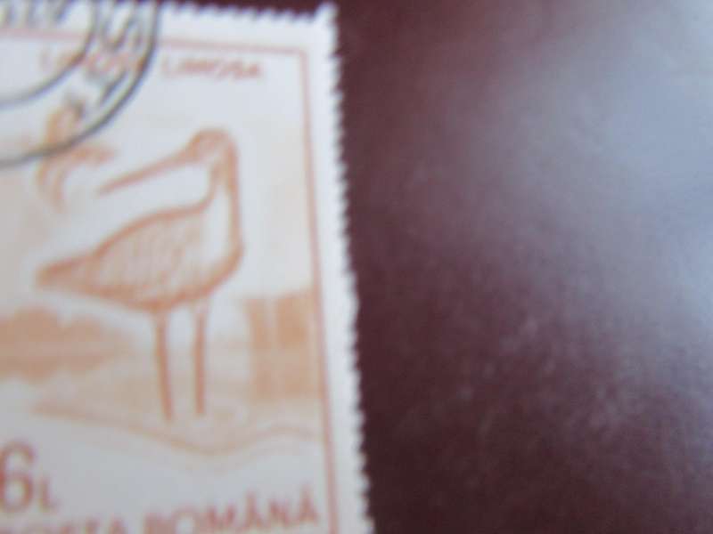 ROMANIA -1