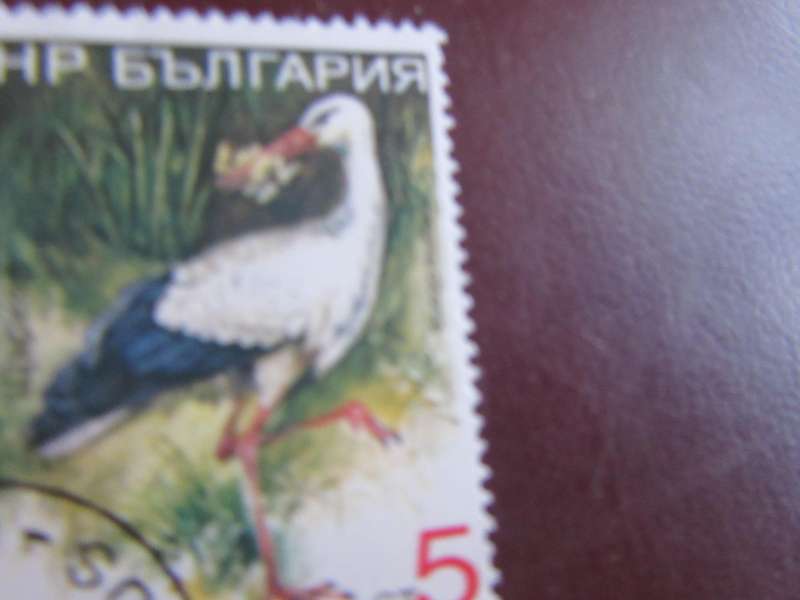 RUSSIA -1
