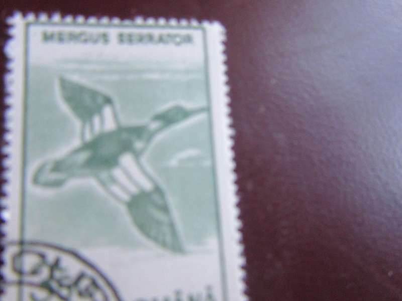 ROMANIA -1