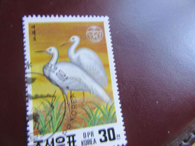 KOREA -10