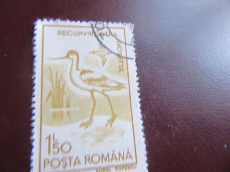 ROMANIA -10