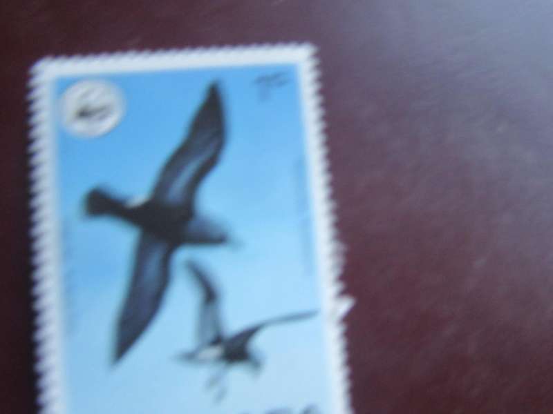 GRENADA -10
