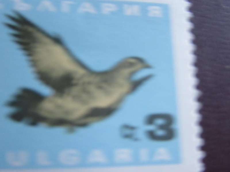 BULGARIA -10