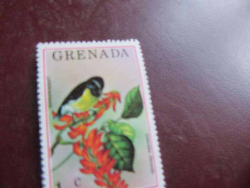 GRENADA -10