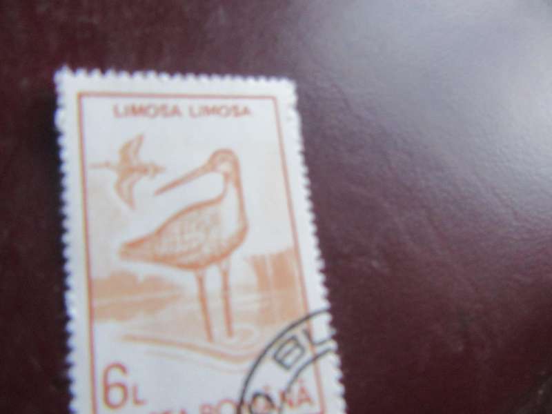 ROMANIA -10