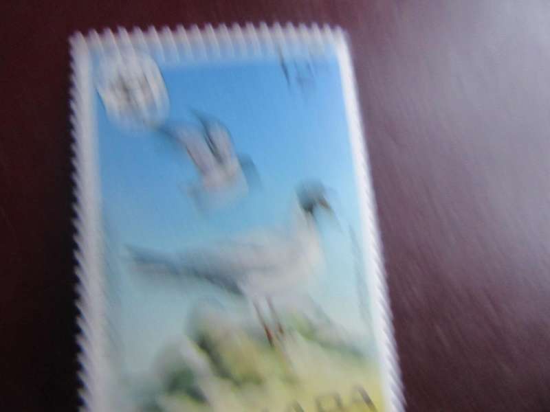 GRENADA -10