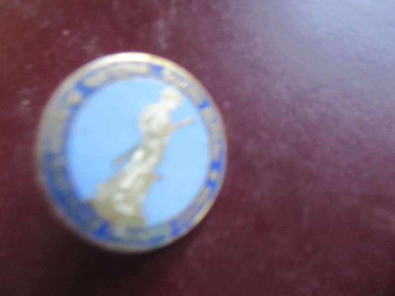 6 VARIOUS SMALL BADGES - AS PERSCAN - BID PER ITEM