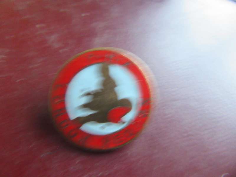 6 VARIOUS SMALL BADGES - AS PERSCAN - BID PER ITEM