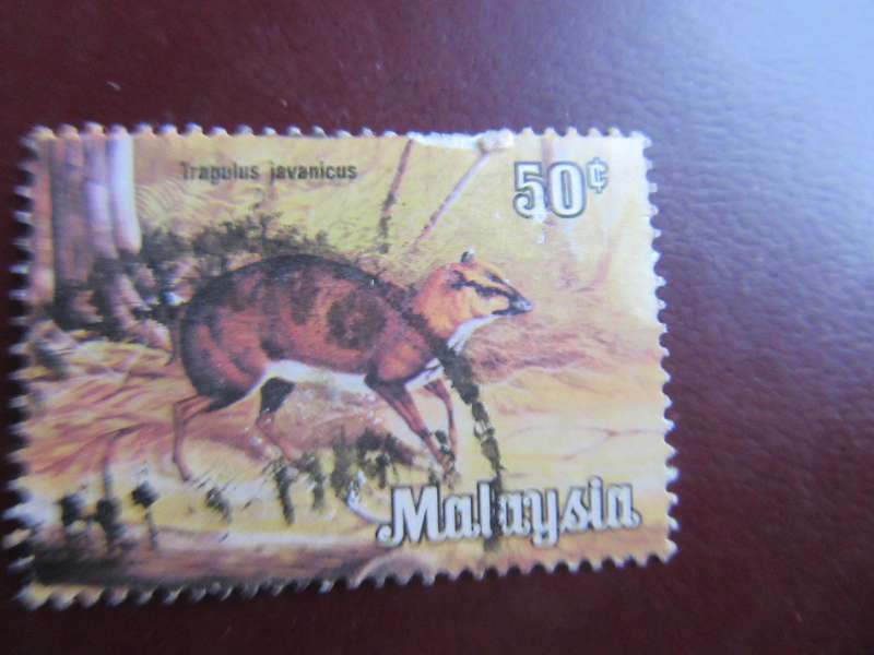 MALAYSIA -21