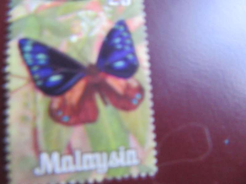 MALAYSIA -21