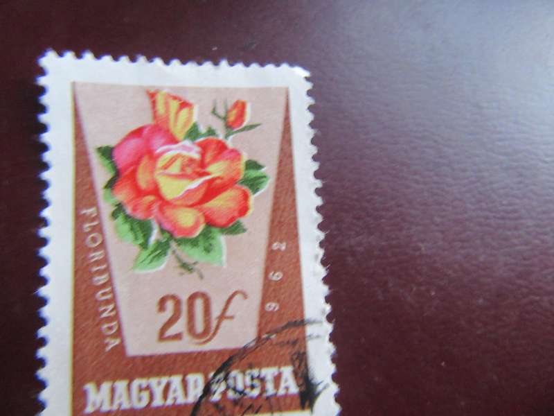 HUNGARY -15