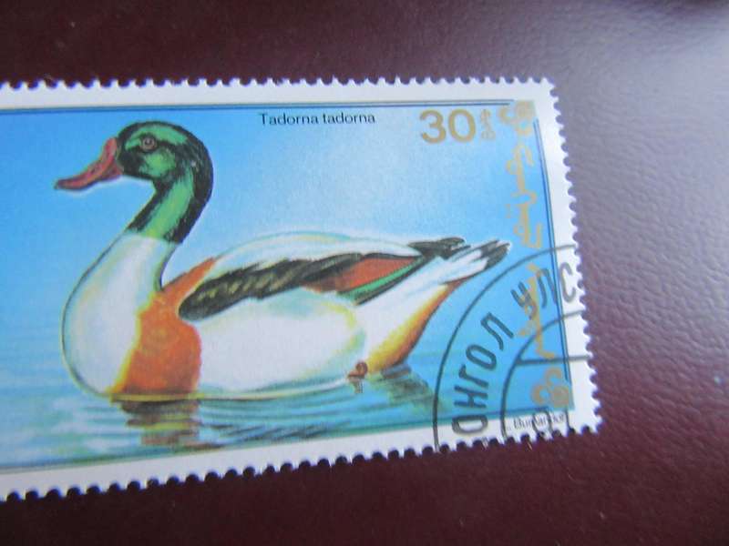 MONGOLIA -15