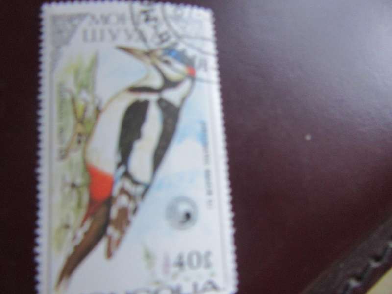 MONGOLIA -15