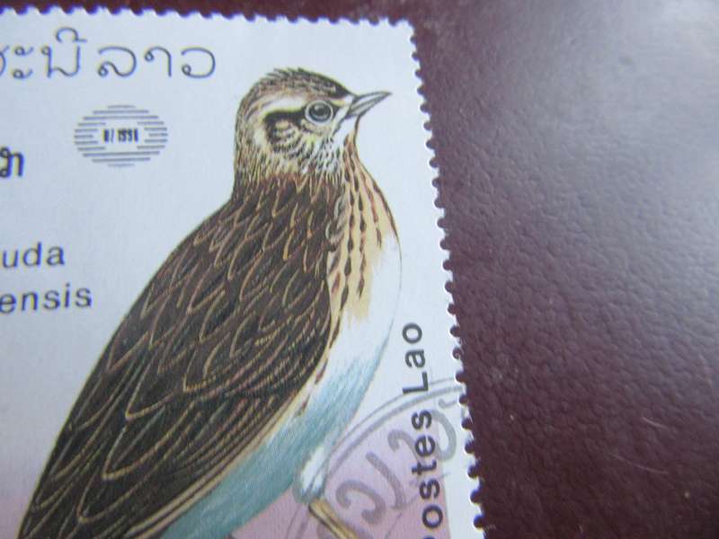 LAOS -15