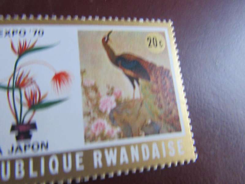 RUANDA-15
