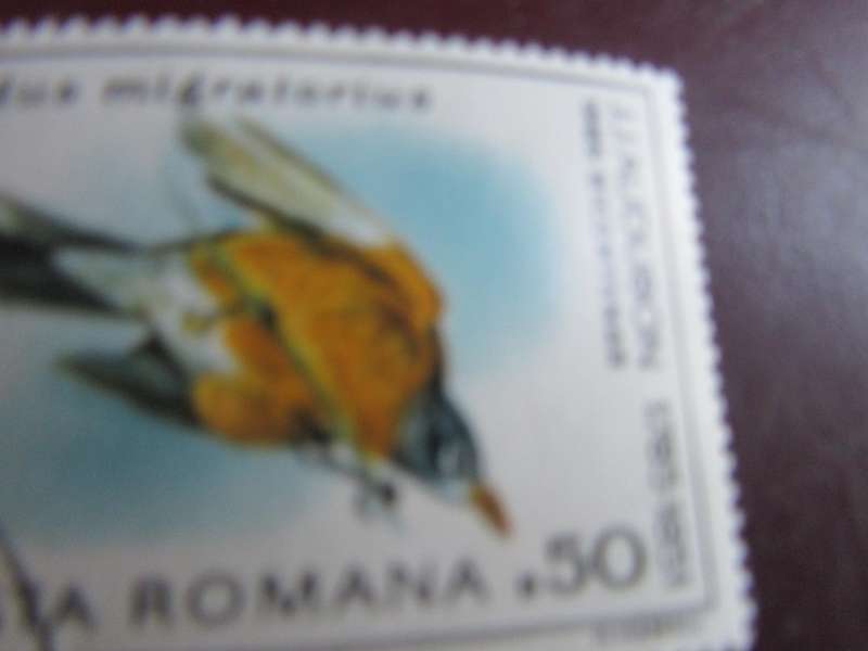 ROMANIA -15