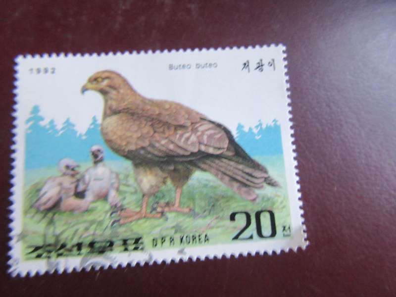 KOREA -15