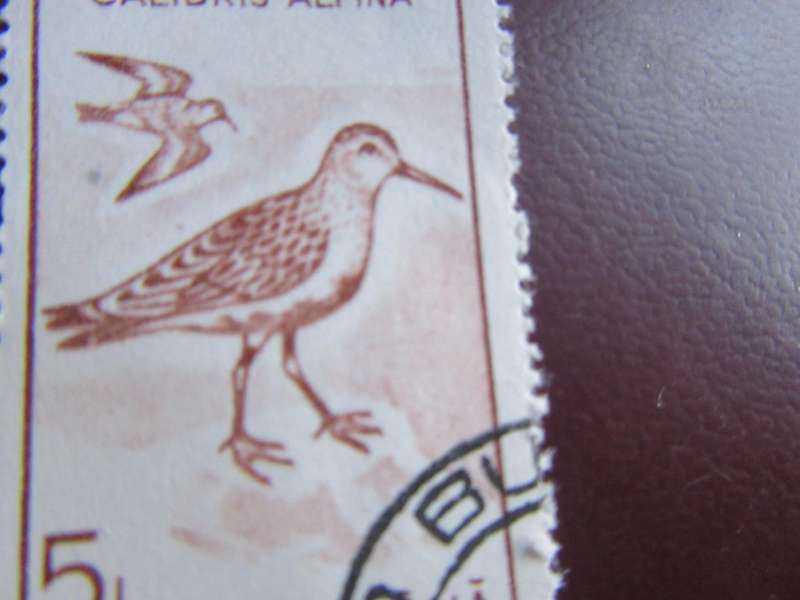 ROMANIA -15