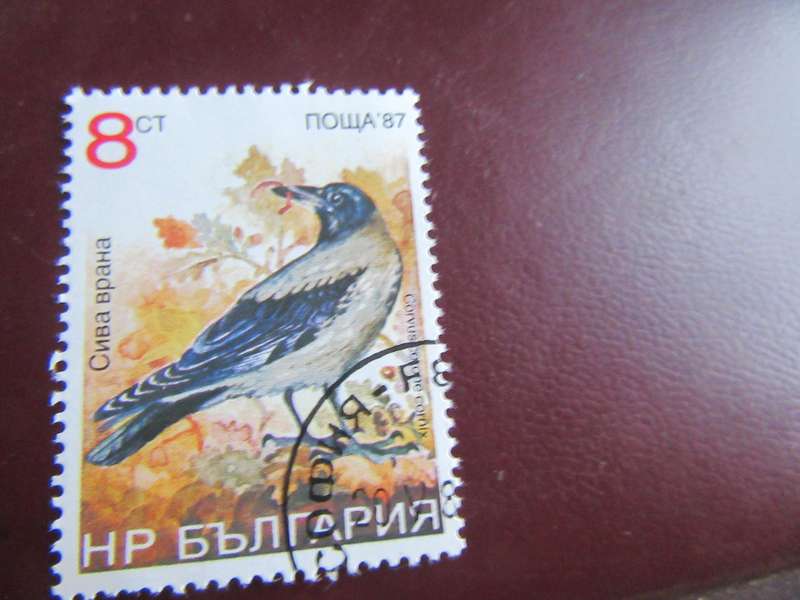 RUSSIA -12