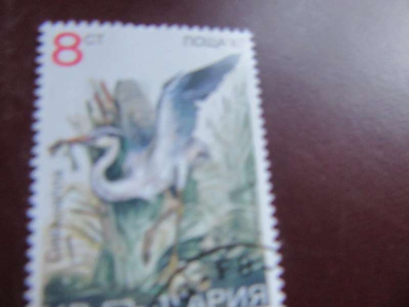 RUSSIA-12