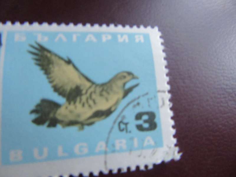 BULGARIA -12