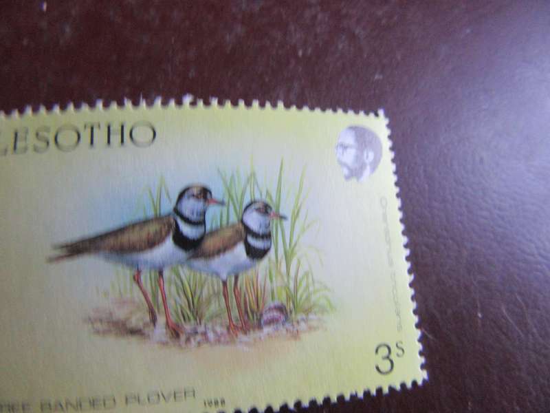 LESOTHO -12