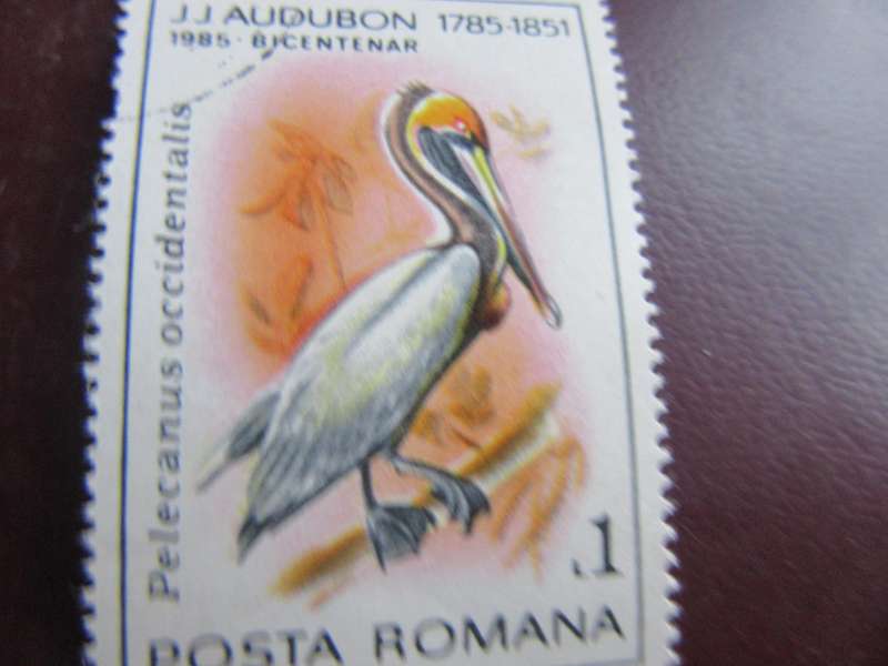 ROMANIA -12
