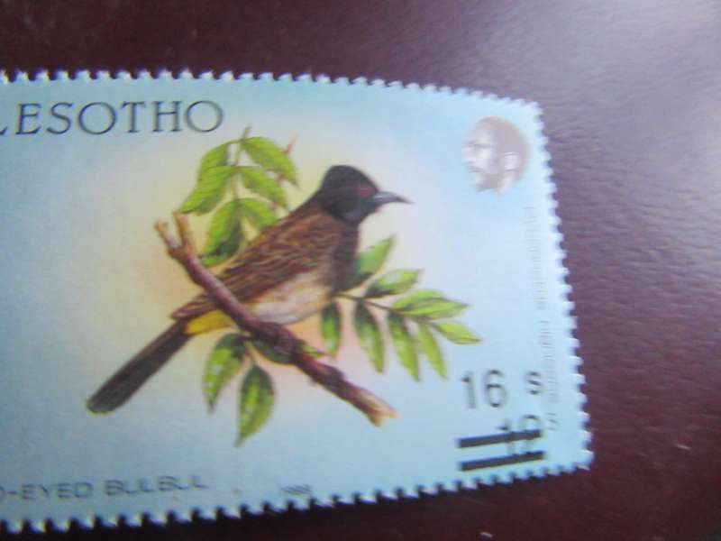 LESOTHO -12